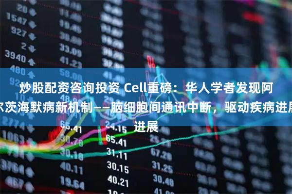 炒股配资咨询投资 Cell重磅：华人学者发现阿尔茨海默病新机制——脑细胞间通讯中断，驱动疾病进展
